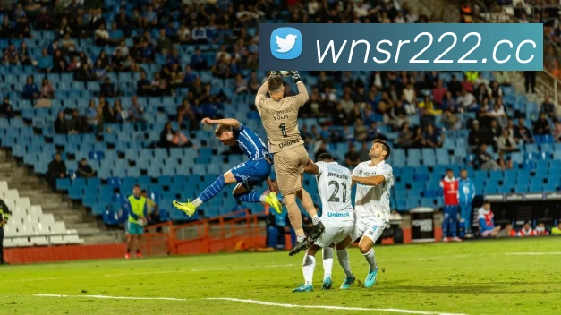未来规划